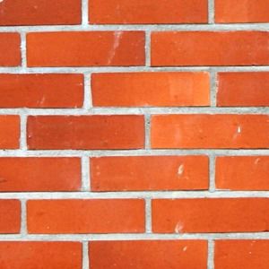 Meet your Posher, Adrienne